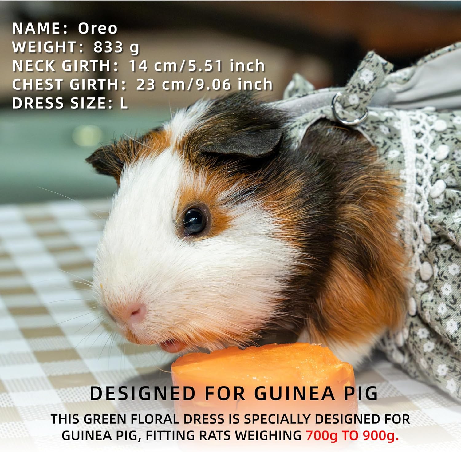 Chinchilla and dwarf rabbit sized floral dress apparel with leash package