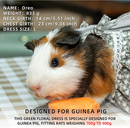 Chinchilla and dwarf rabbit sized floral dress apparel with leash package