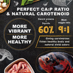 Ultra Fresh cichlid food container highlighting 40 percent wild sword prawns ingredient label.