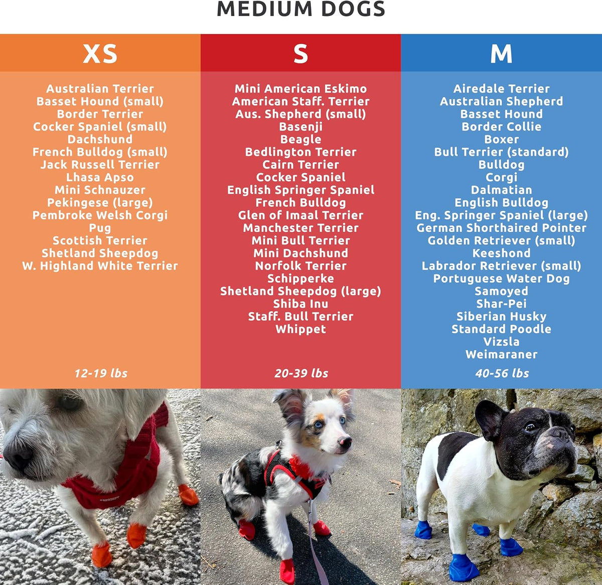 Dog wearing blue PawZ rubber boots on outdoor pavement
