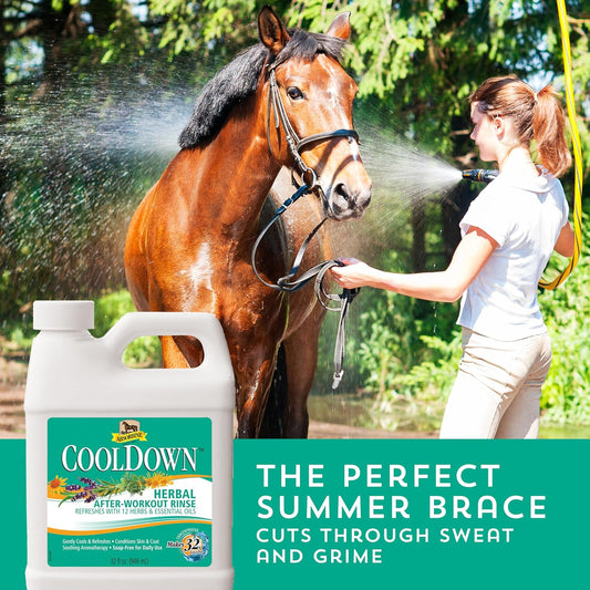 Absorbine CoolDown herbal rinse applied to a horse coat after training.