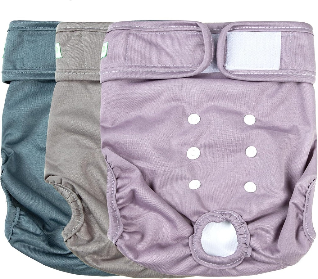 Wegreeco dog diapers packaged set of three showing authentic branding and size medium specifications.