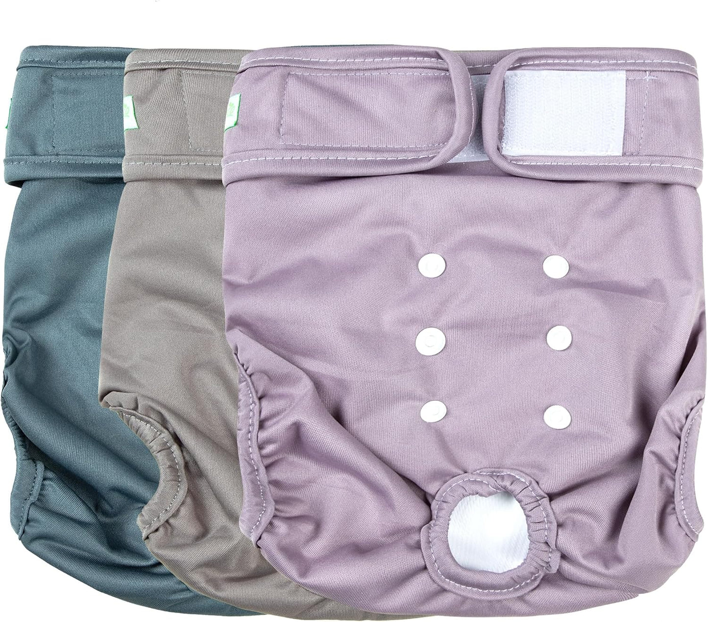 Wegreeco dog diapers packaged set of three showing authentic branding and size medium specifications.