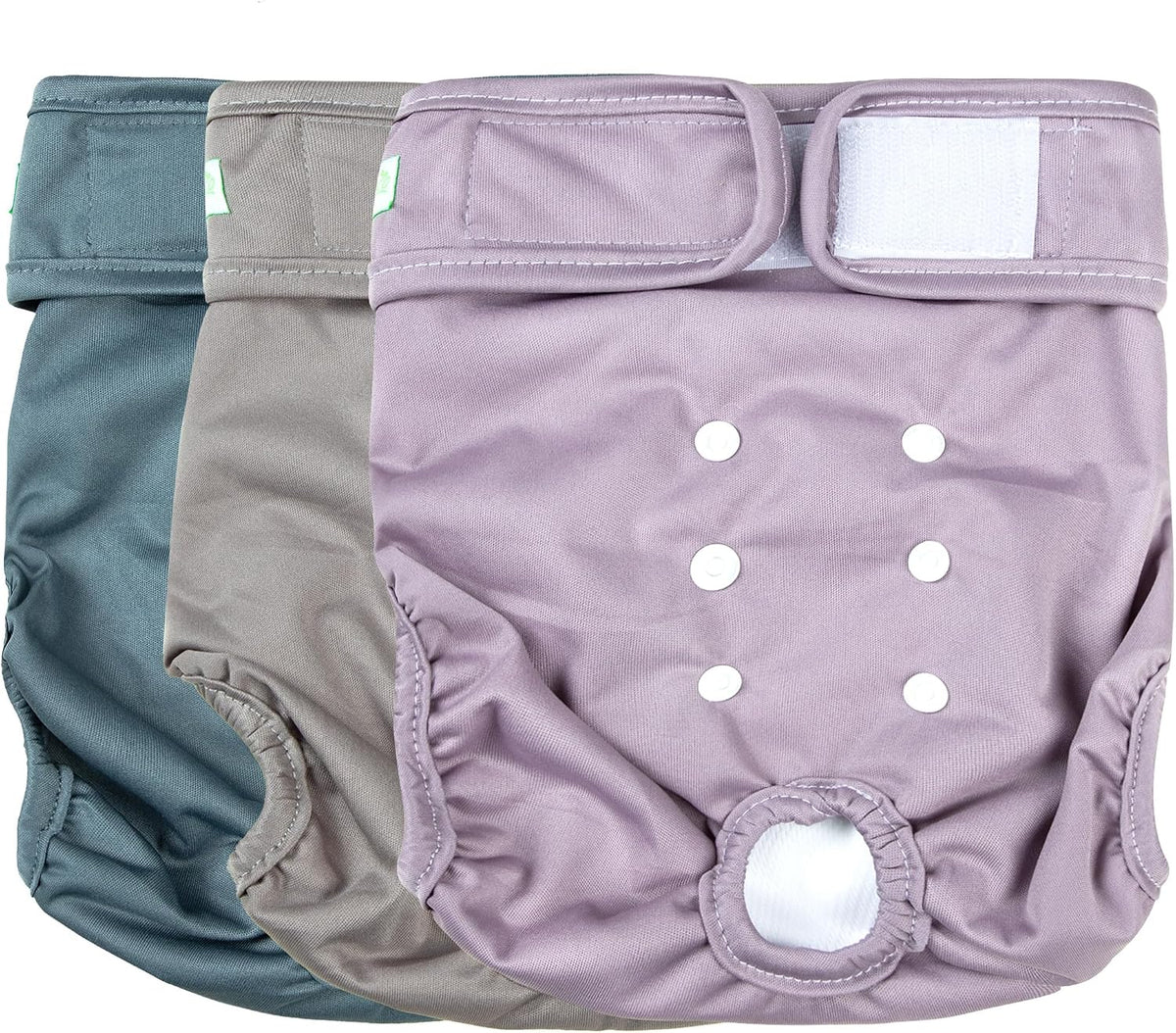 Wegreeco dog diapers packaged set of three showing authentic branding and size medium specifications.