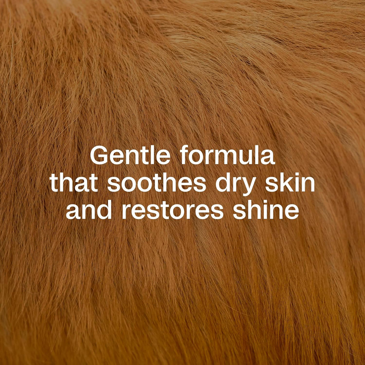 Adams flea shampoo with Precor ingredient label highlighting aloe and oatmeal.