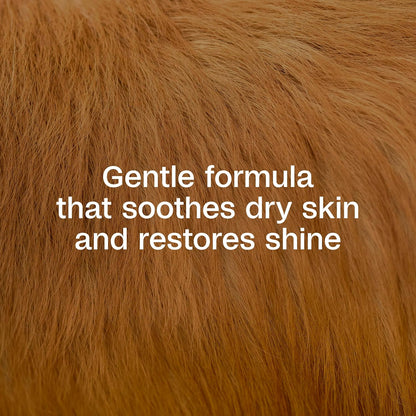 Adams flea shampoo with Precor ingredient label highlighting aloe and oatmeal.