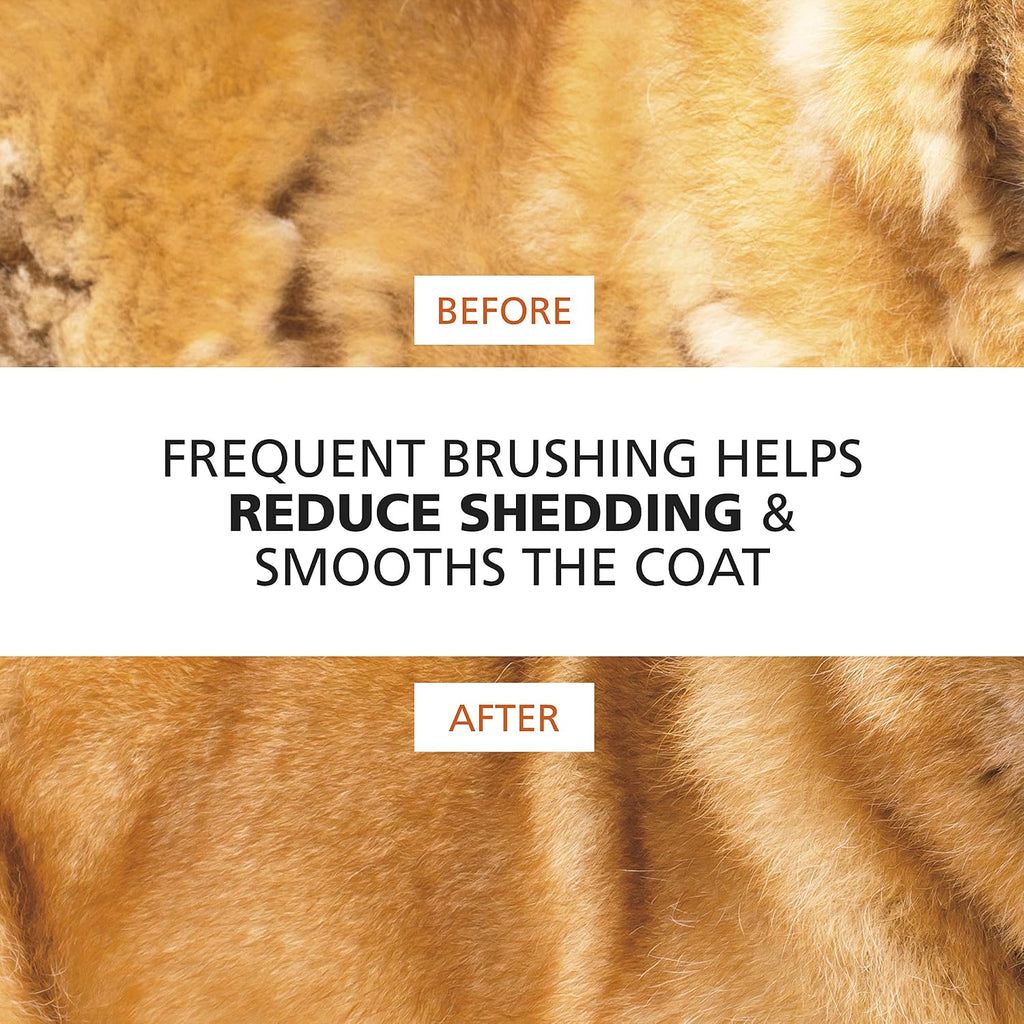 Wahl orange and white pet slicker brush for dogs and cats