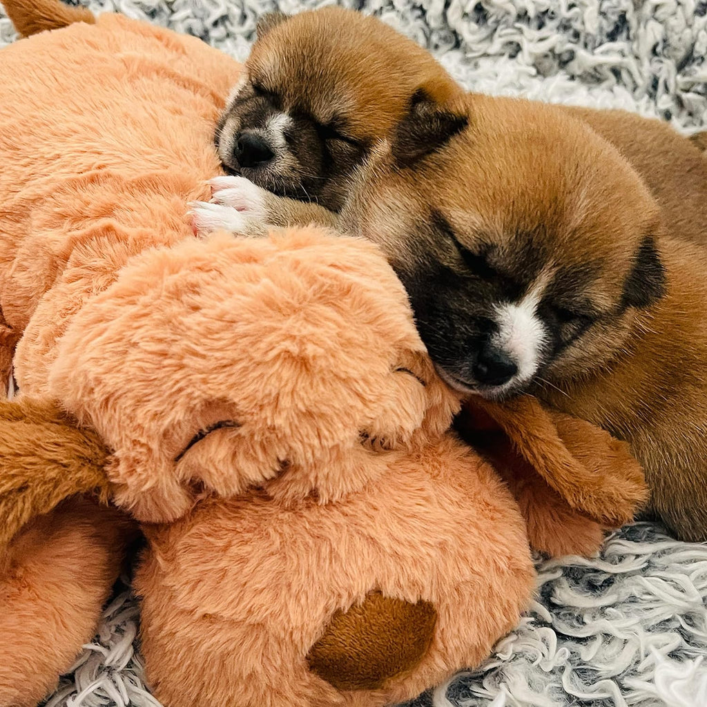 Snuggle Puppie packaging showing USA import quality