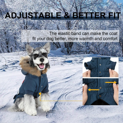 Small breed dog coat illustrating the secure snap button closures