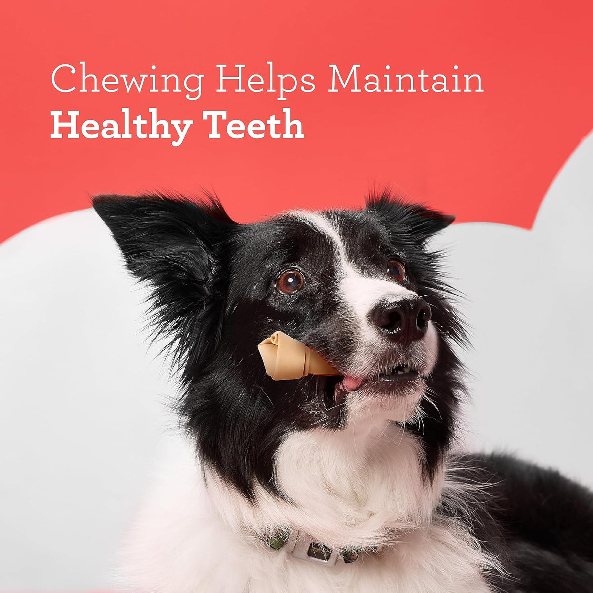 DreamBone vitamins and minerals enriched dog treats for small breeds