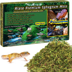 Natural planting medium and decorative plant moss