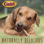 Cadet rawhide twist sticks for adult dogs dental health care