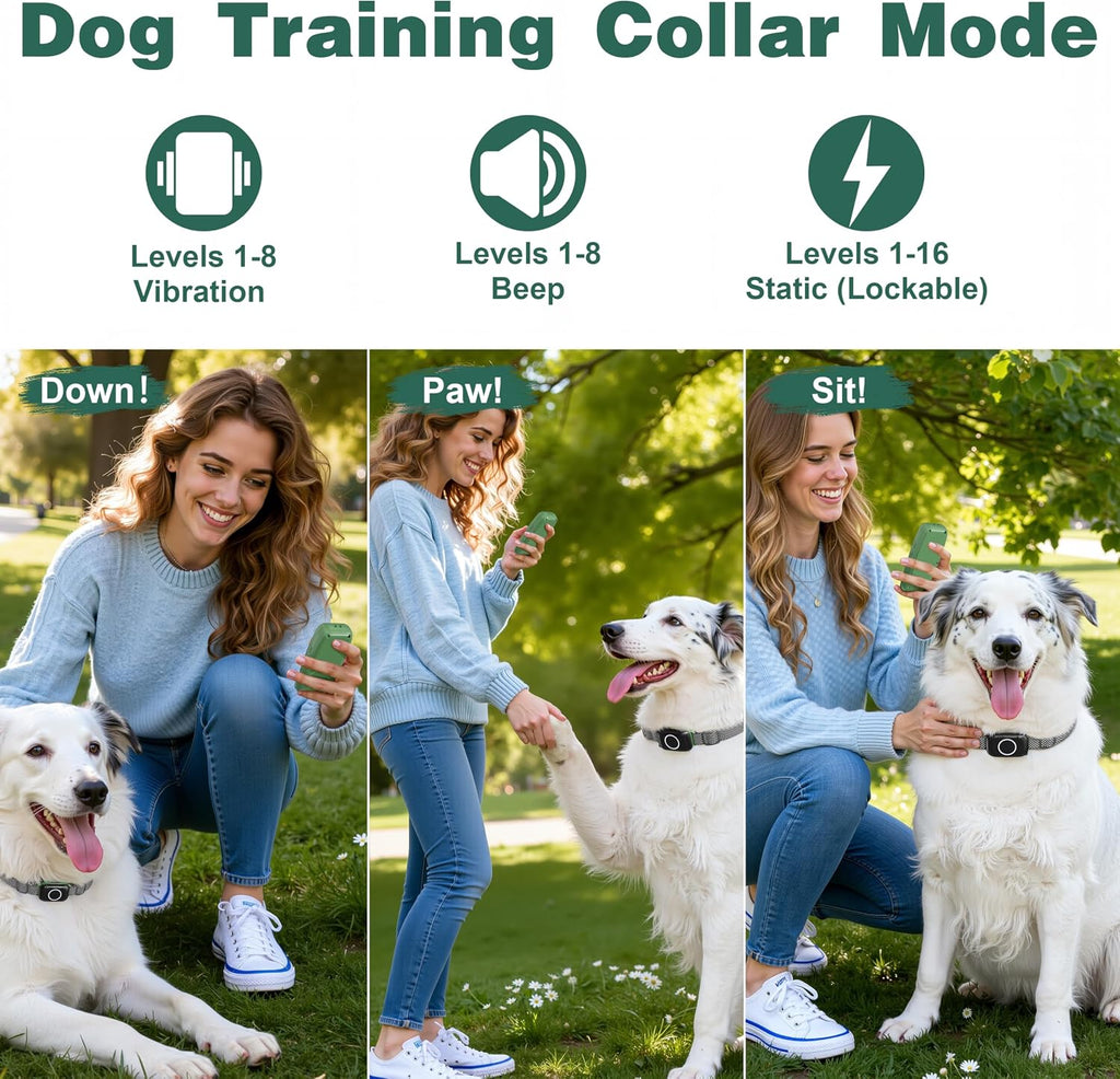Patpet smart pet containment system accessories including contact points and test light tool components