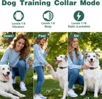 Patpet smart pet containment system accessories including contact points and test light tool components