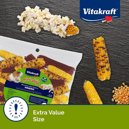 Microwaved fluffy popcorn treat made from Vitakraft Mini Pops small animal corn cob.