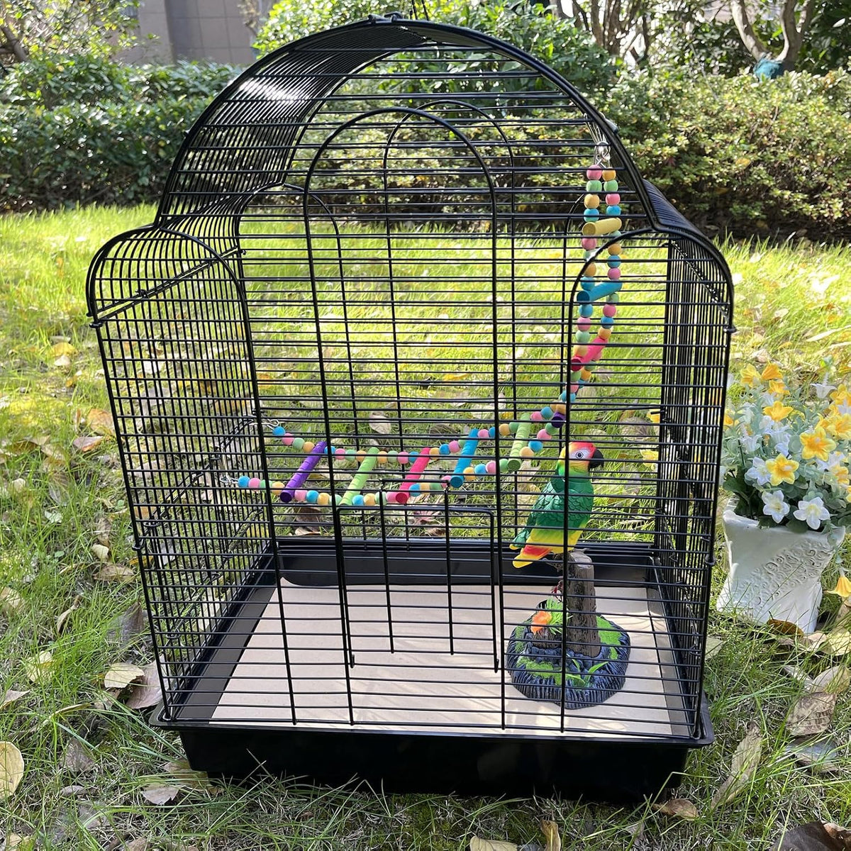 Comparison of clean versus used bird cage gravel paper