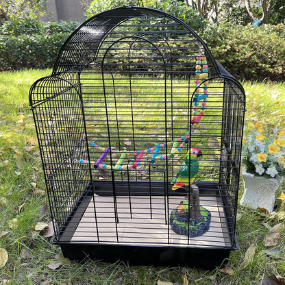 Bird standing on Clyairmao gravel paper cage liner