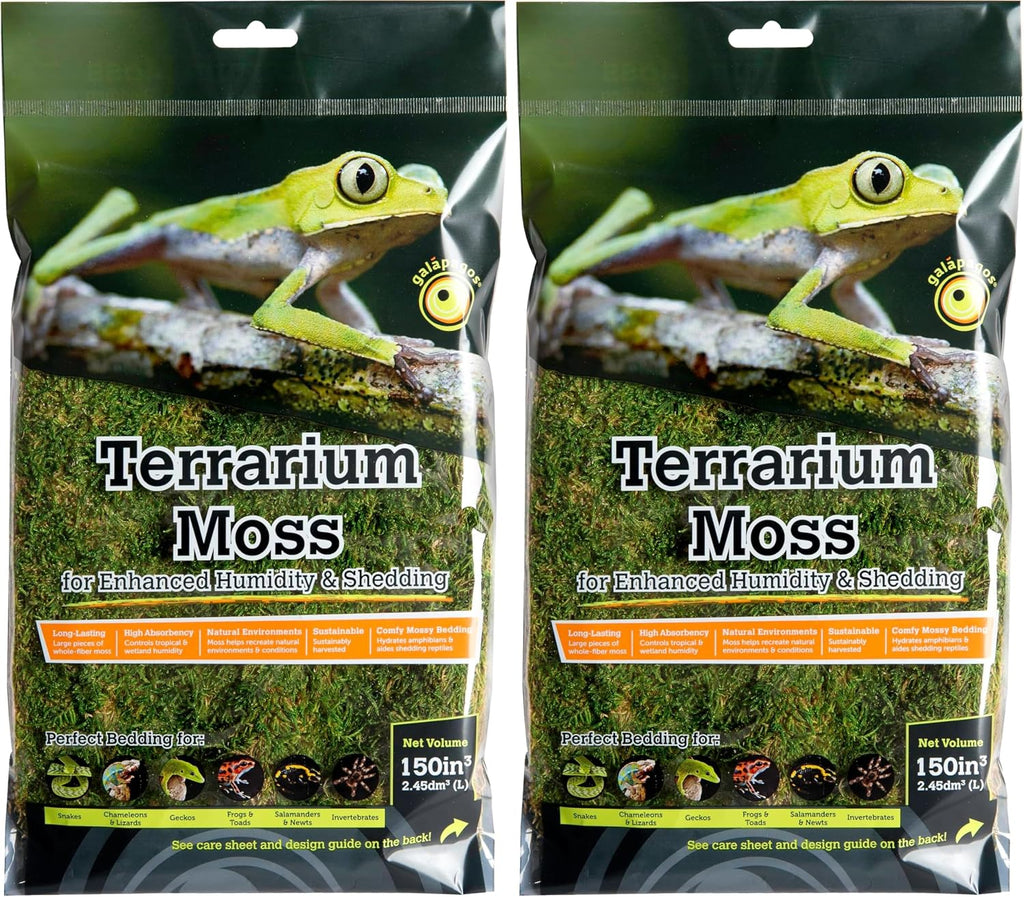 Galapagos sheet moss for reptile enclosures