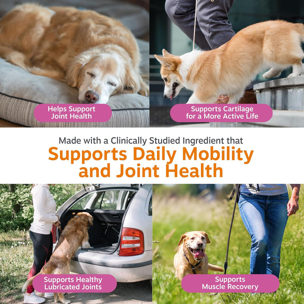Close up view of Zesty Paws canine joint health chewable bites