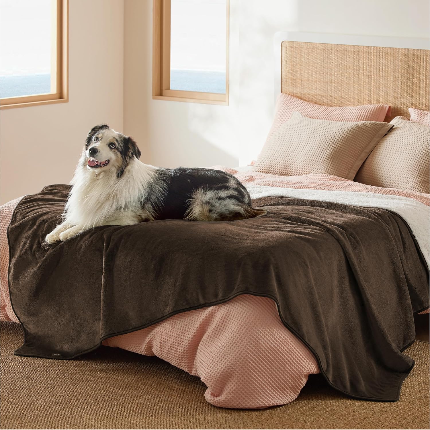 Bedsure Waterproof Dog Blankets for Small Dogs - Small Cat Blanket Washable for Couch Protection, Sherpa Fleece Puppy Blanket, Soft Plush Reversible Throw Furniture Protector, 25"X35", Grey - Image 15