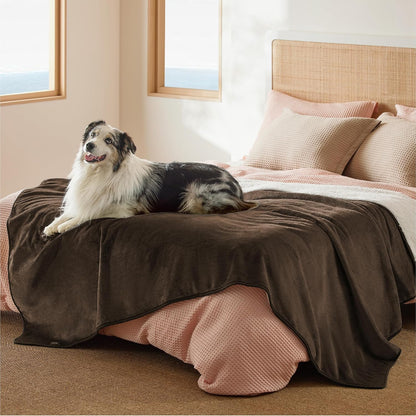 Bedsure Waterproof Dog Blankets for Small Dogs - Small Cat Blanket Washable for Couch Protection, Sherpa Fleece Puppy Blanket, Soft Plush Reversible Throw Furniture Protector, 25"X35", Grey - Image 15