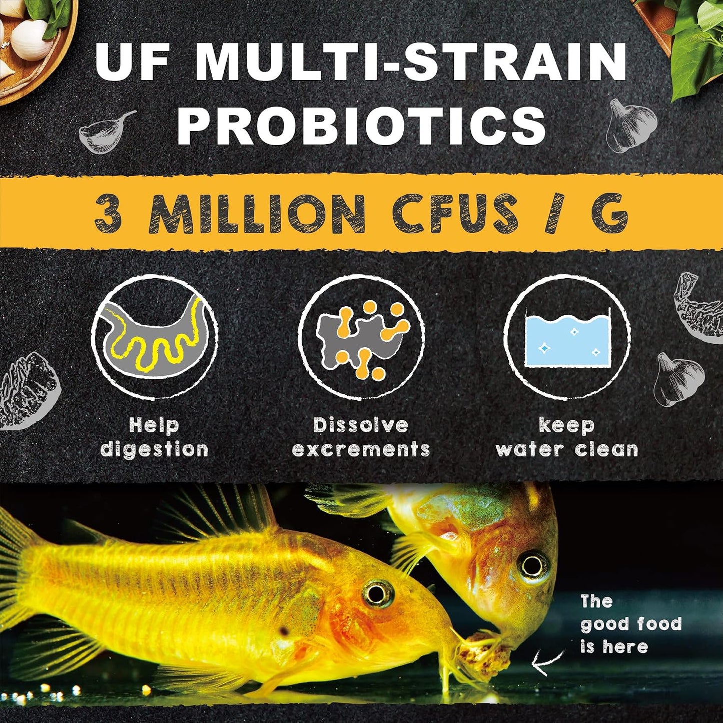 Aquarium bottom feeders scavenging for Ultra Fresh sinking shrimp pie pellets.