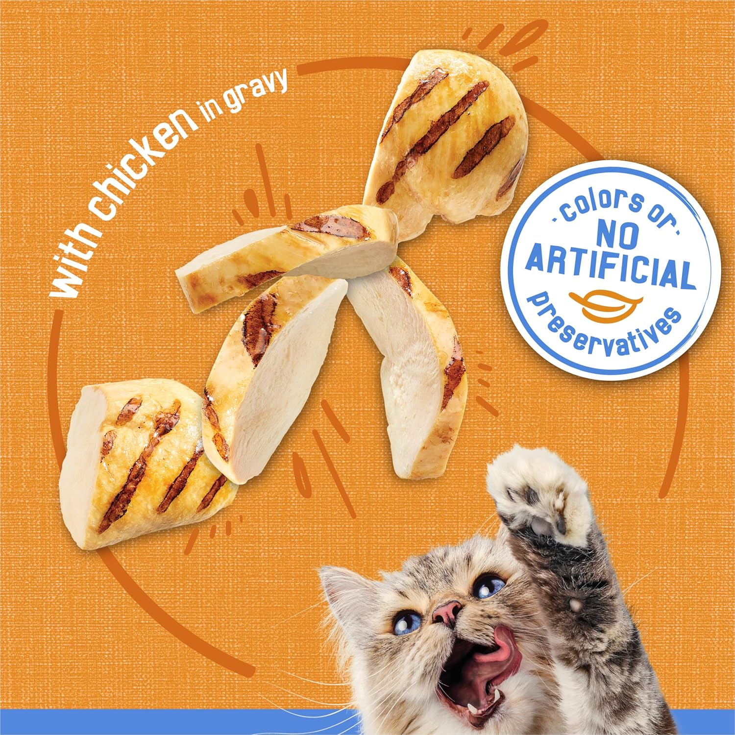 Purina Friskies Shreds With Chicken In Gravy Texture