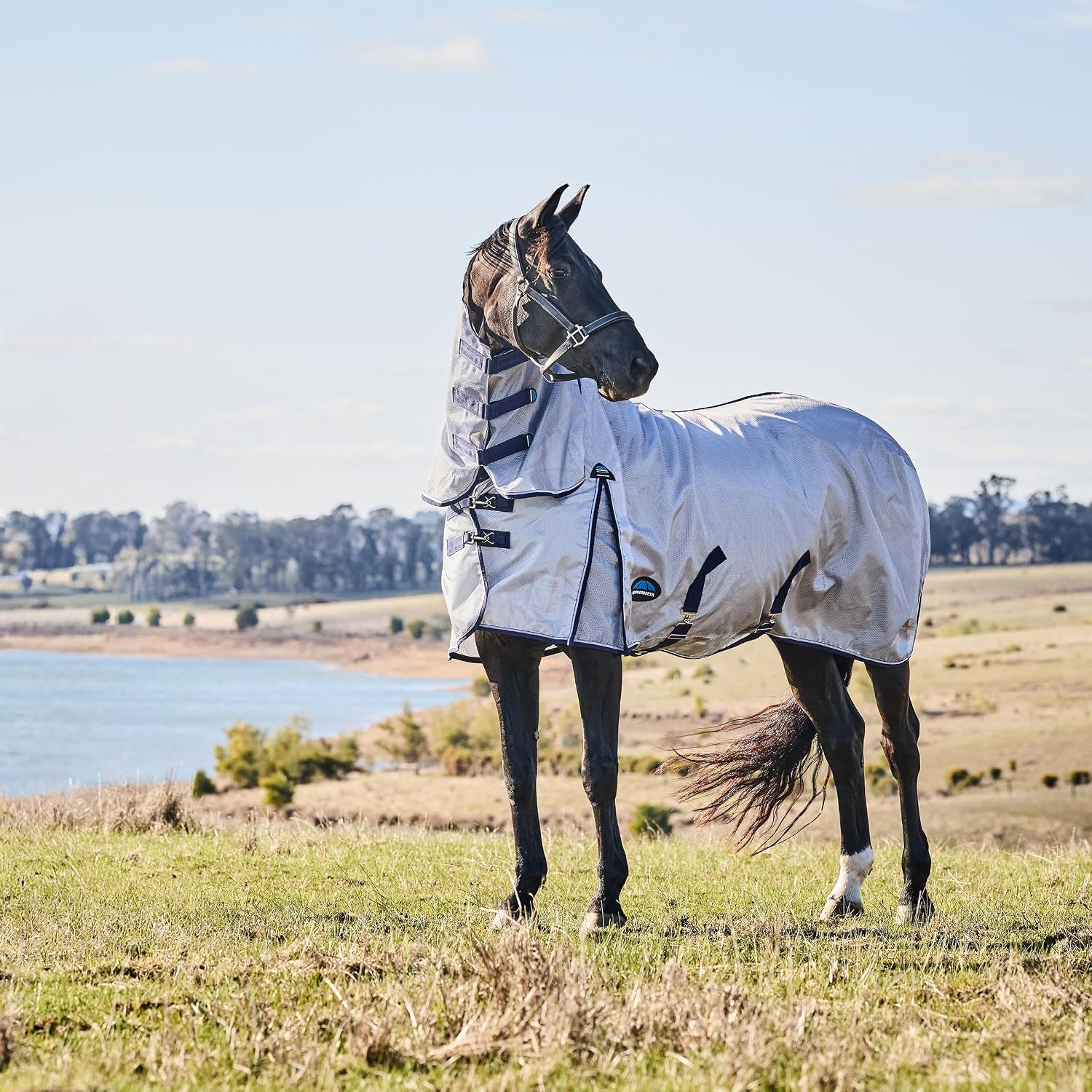 WeatherBeeta fly sheet combo neck design and coverage