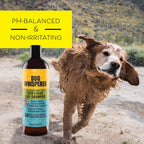 Natural herbal dog wash for flea egg and larvae removal bottle display