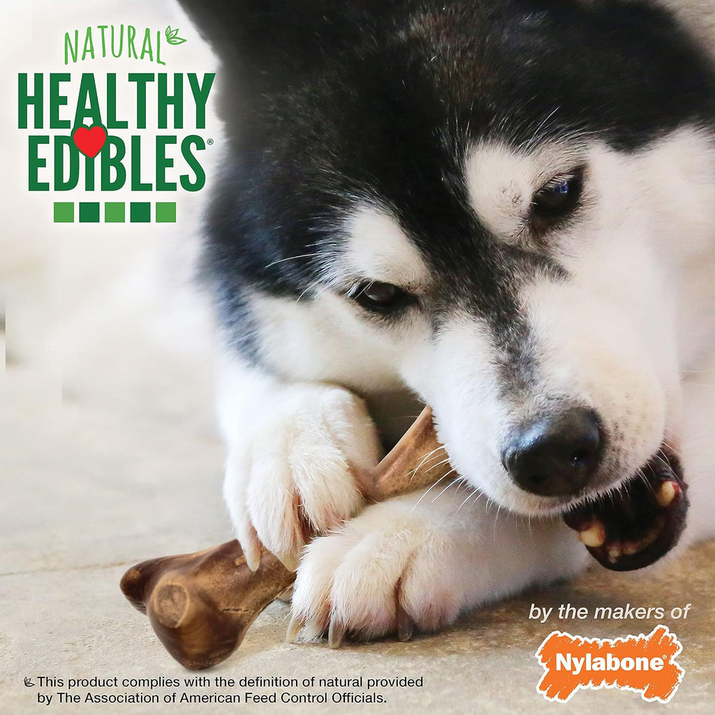 Nylabone WILD series highly digestible limited ingredient pet treat