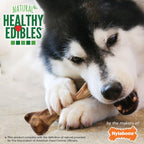 Nylabone WILD series highly digestible limited ingredient pet treat