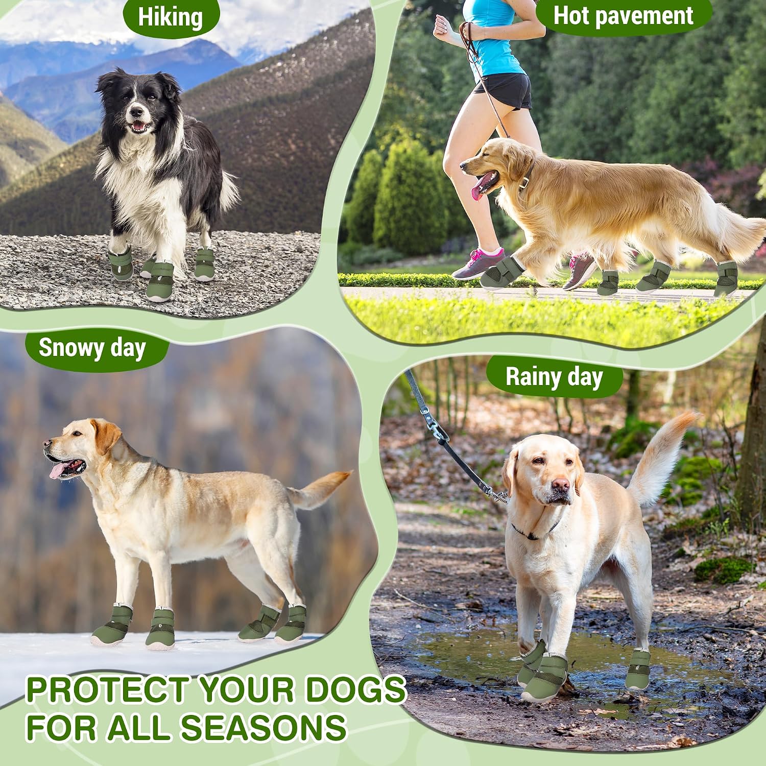 Dcoagt dog boots being worn by a large breed dog