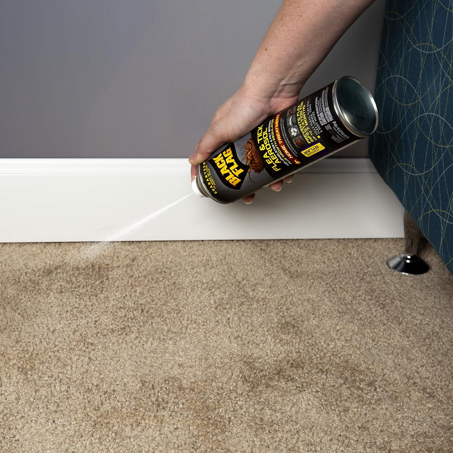 Black Flag aerosol can demonstrating spot treatment on sofa