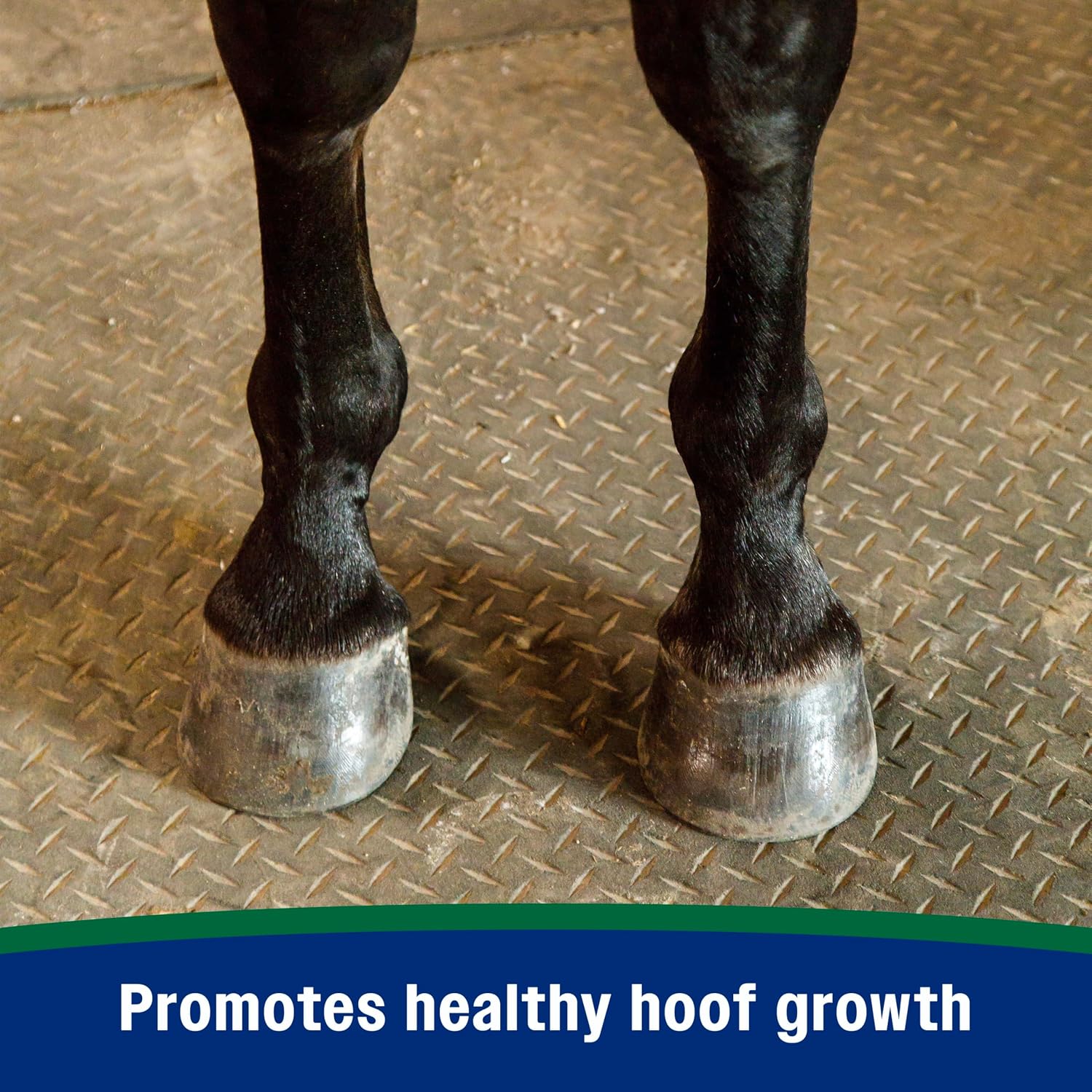 Premium pelleted feed additive for equine cracked hoof repair support