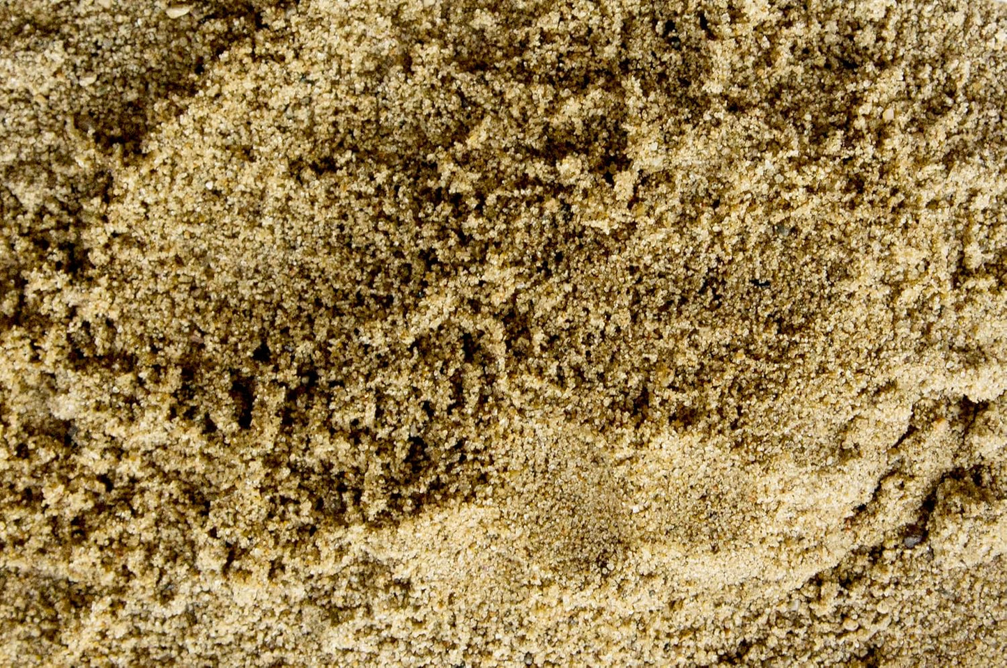 Dominator Fine Masonry Sand 10 lbs front packaging view