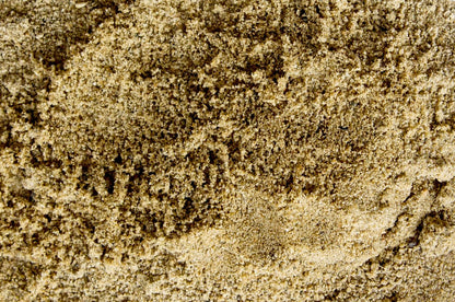 Dominator Fine Masonry Sand 10 lbs front packaging view