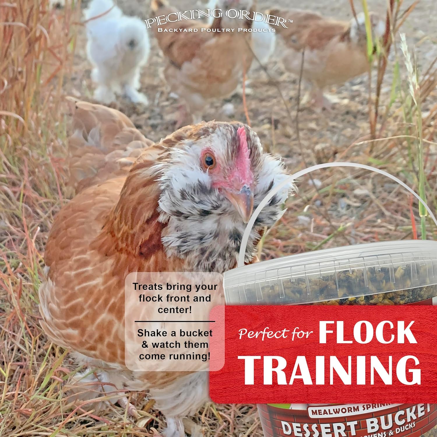 Label details of Pecking Order Dessert Bucket Mealworm Sprinkles
