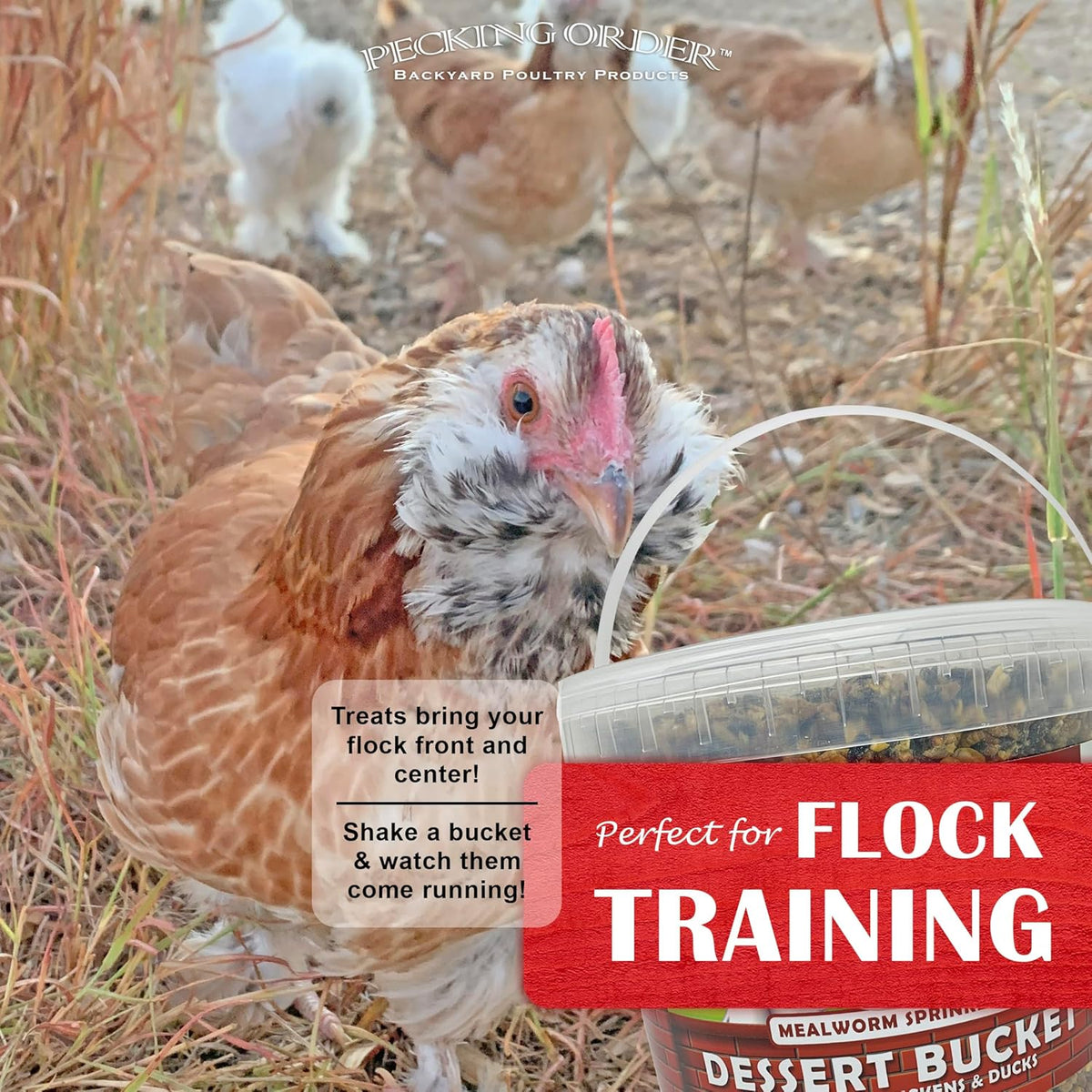 Pecking Order 5 lb bucket packaging nutritional label details