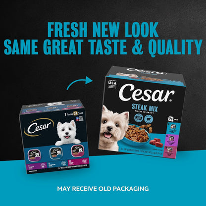 Cesar steak mix variety pack dog food trays including filet mignon flavor