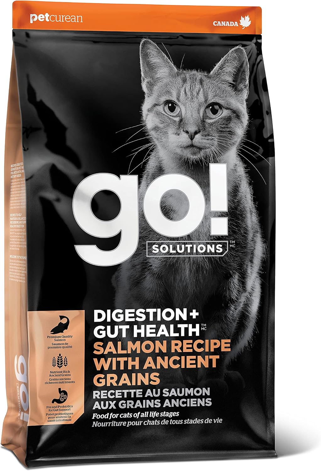 Go! Solutions Digestion + Gut Health Salmon Dry Cat Food, 3 lb | Chicken-Free Kibble for Gastrointestinal & Digestive Wellness, Supports Sensitive Stomachs, For Kittens, Adults & Seniors - Image 13