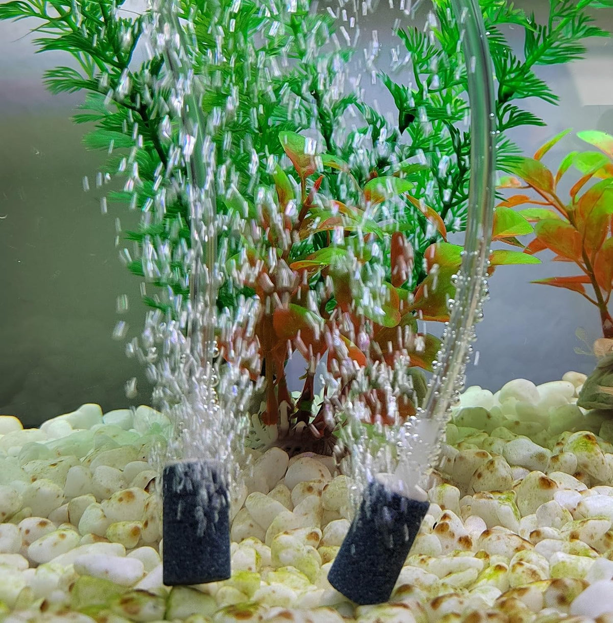 Aquaneat aquarium air stone front view cylindrical diffuser