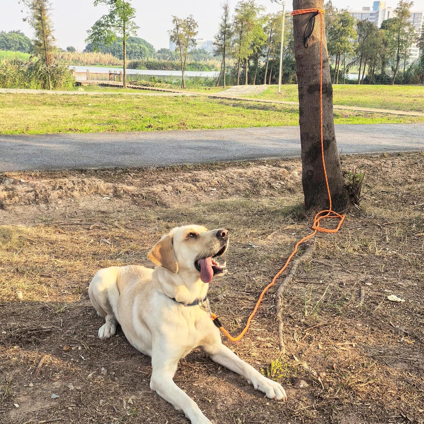 Side view of the premium leather connector on the ZALER heavy duty climbing rope pet leash