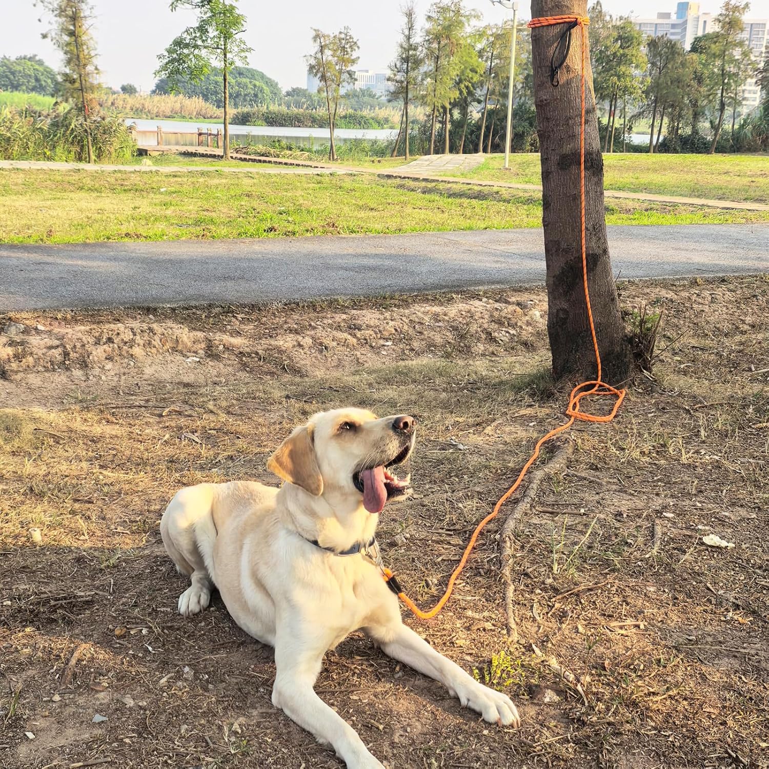 Side view of the premium leather connector on the ZALER heavy duty climbing rope pet leash