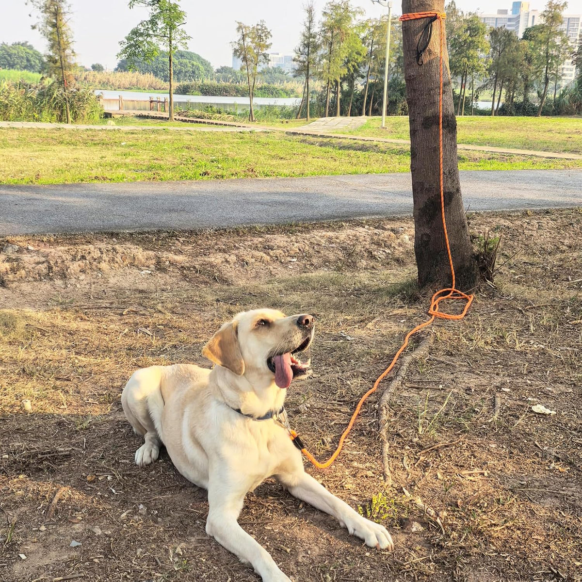 Side view of the premium leather connector on the ZALER heavy duty climbing rope pet leash