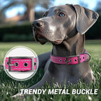 Dazner dog collar showing soft neoprene padding texture
