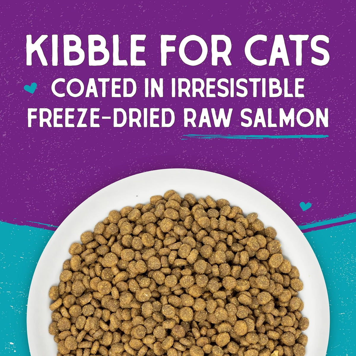 Stella & Chewy's Raw Coated Cat Food - High Protein, Grain-Free Kibble with Wild-Caught Salmon - Premium Digestive Support with Probiotics - Natural Small Kibble - Perfect for Picky Eater - 10 lb Bag - Image 5