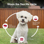 Authentic imported Elanco dog flea prevention medication application instructions