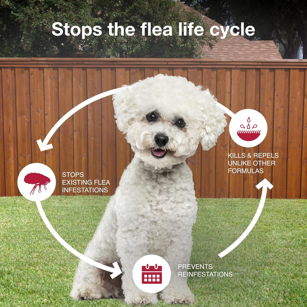 Authentic imported Elanco dog flea prevention medication application instructions