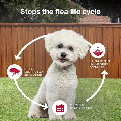 Authentic imported Elanco dog flea prevention medication application instructions