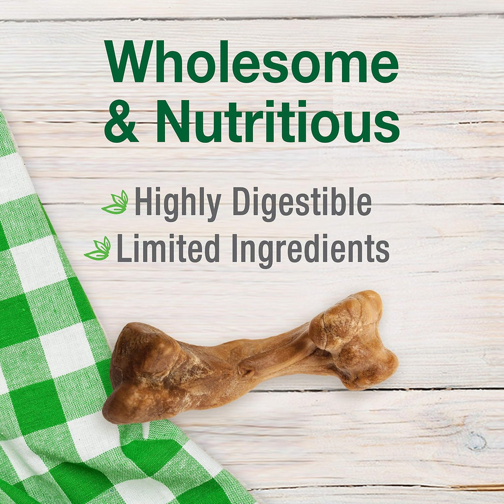 Nylabone Healthy Edibles small dog treat bone detail